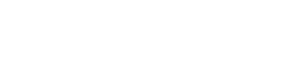 Vidhyadeep University